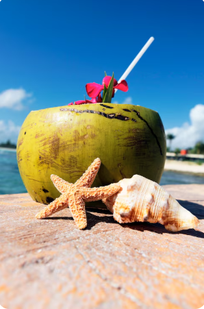 The Treasure of Lima: History, Legend, and the Enduring Mystery of Cocos Island